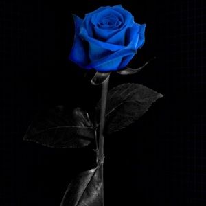 Meet your Posher, Beatriz